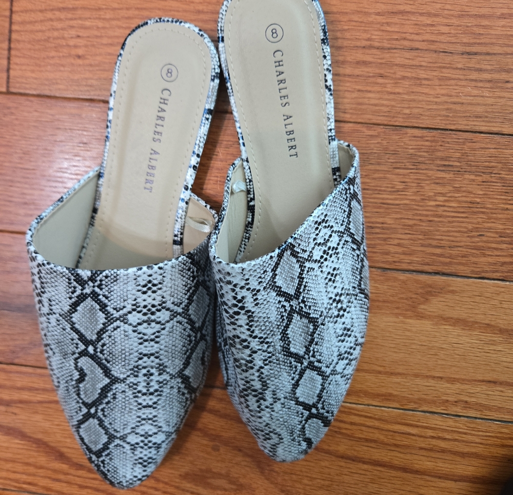 CHARLES ALBERT SHOES